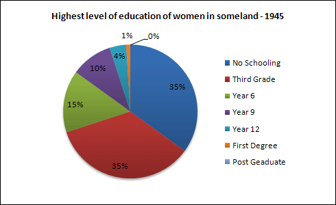 IELTS Writing Task 1 Pie chart: Biểu đồ tròn #191