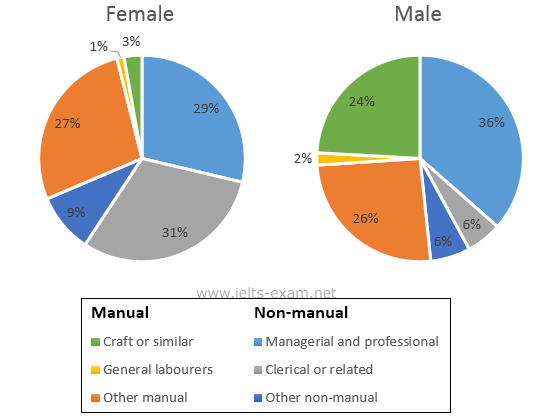 IELTS Writing Task 1 Pie chart: The two pie charts below show some employment patterns in Great…